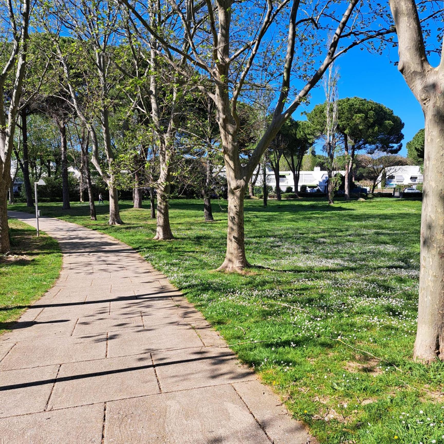 T2 West City Parking Clim Wifi 4Pers - Rossiconciergerie - Linge Inclus Ла Гранде-Моте Екстериор снимка